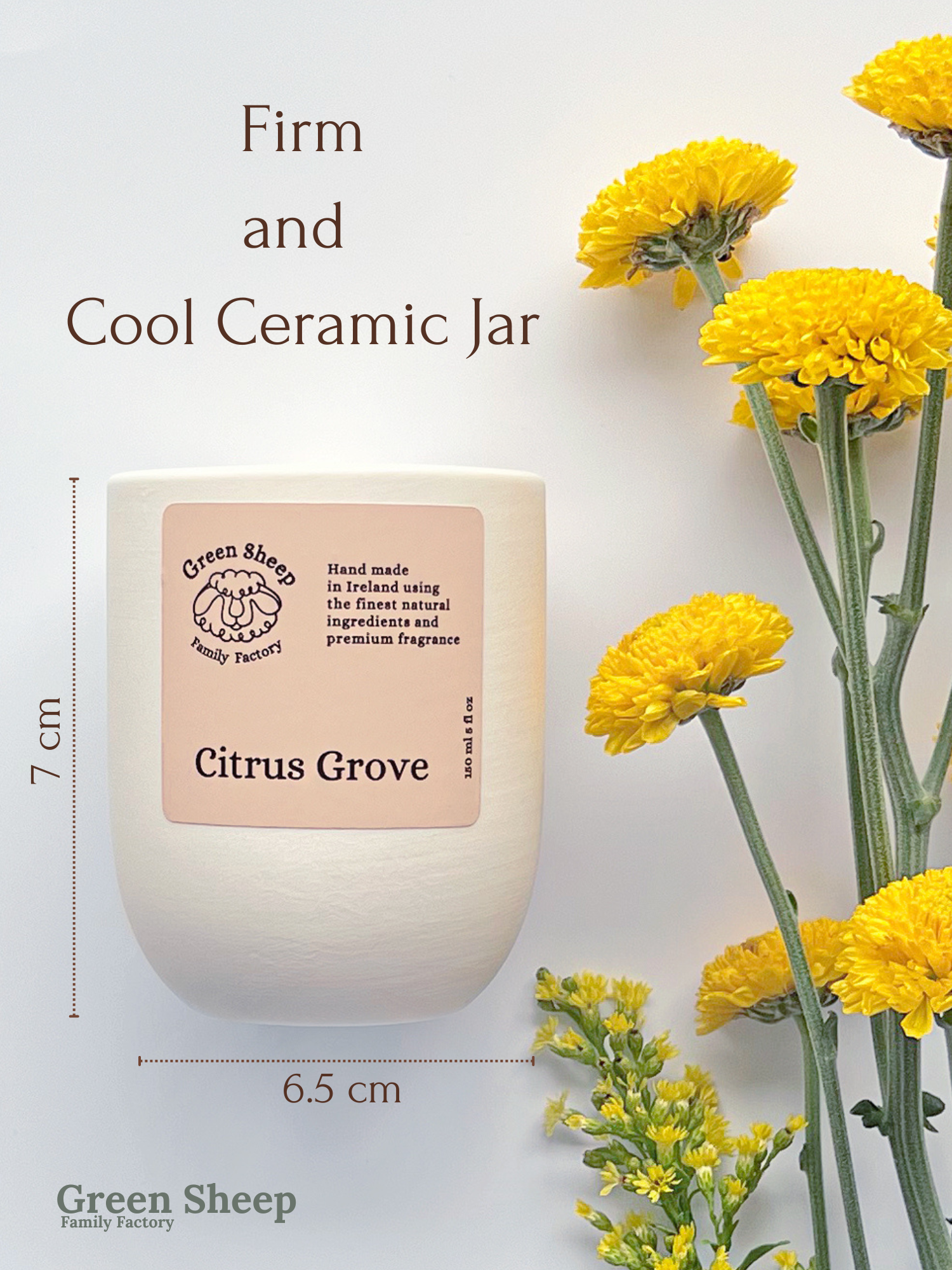 Cotton Wick Candle in a White Ceramic Jar - Citrus Grove