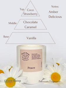 Cotton Wick Candle in a White Ceramic Jar - Peace
