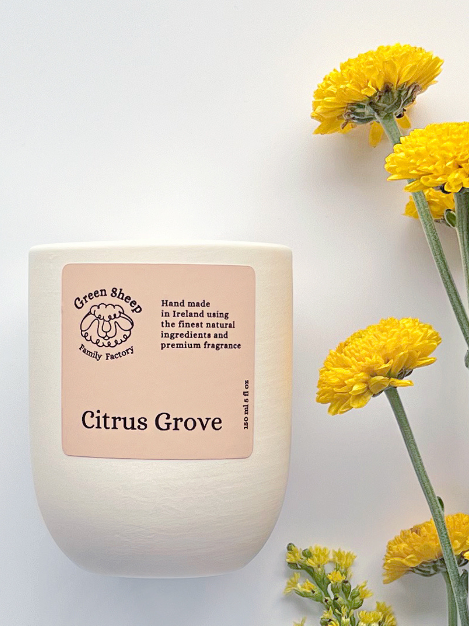 Cotton Wick Candle in a White Ceramic Jar - Citrus Grove