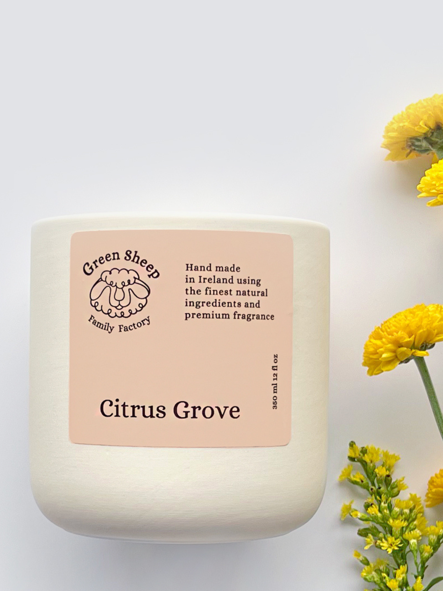 Double Cotton Wick Candle in a White Ceramic Jar - Citrus Grove