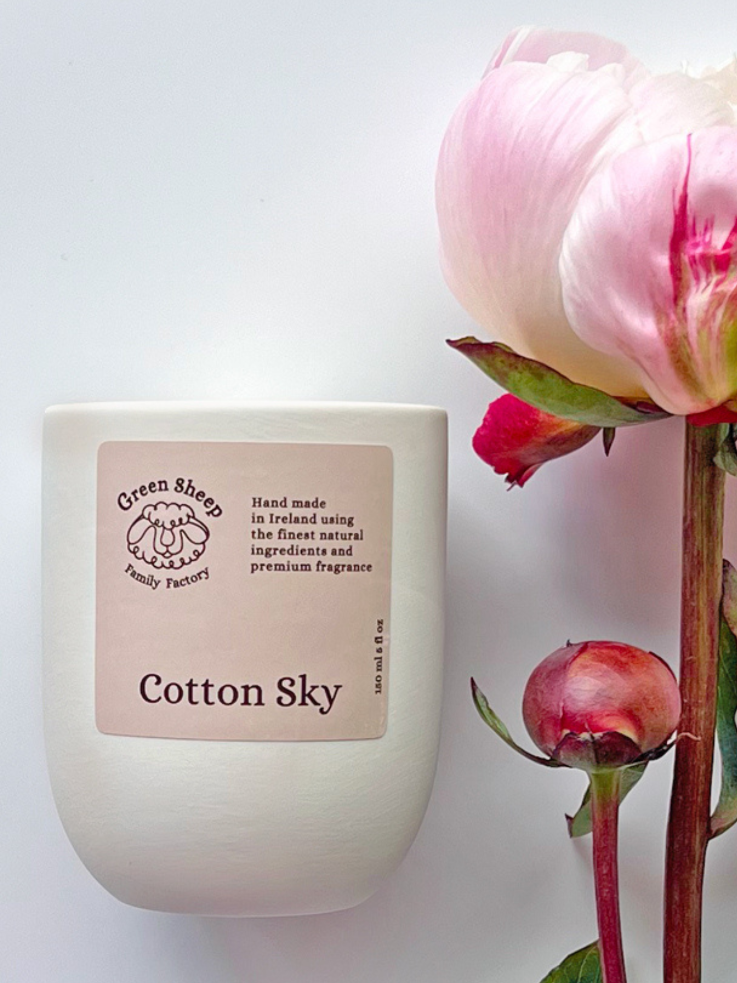Cotton Wick Candle in a White Ceramic Jar - Cotton Sky