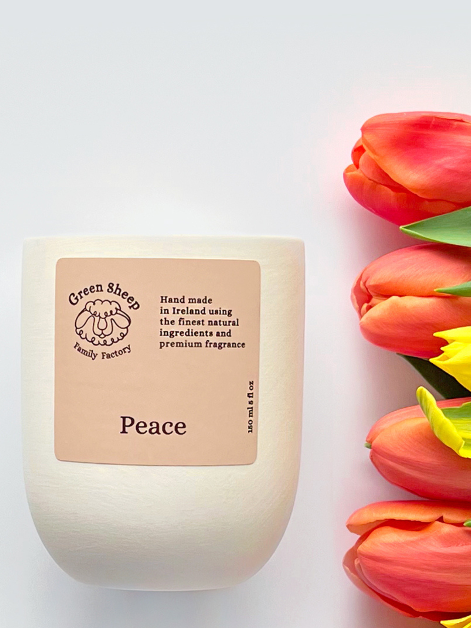 Cotton Wick Candle in a White Ceramic Jar - Peace