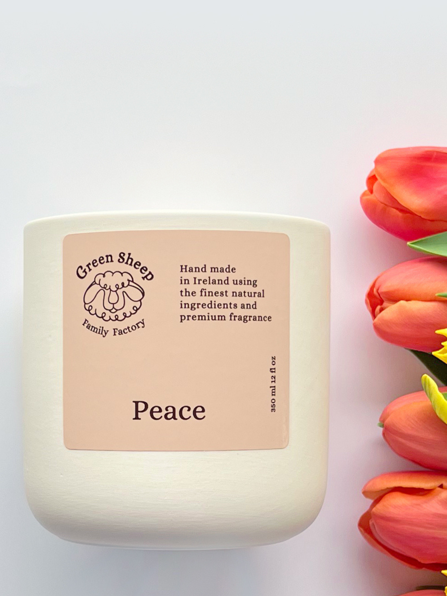 Double Cotton Wick Candle in a White Ceramic Jar - Peace